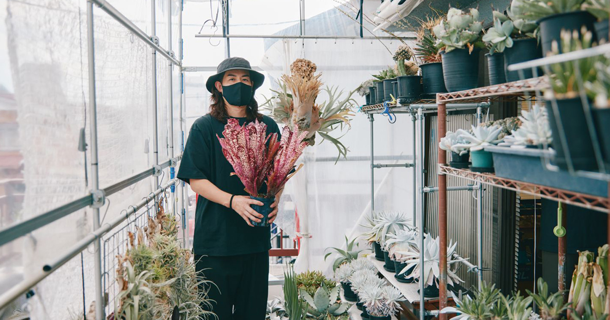 アーティスト・GIRUVIが“植物を愛でる時間”から導き出したアート
