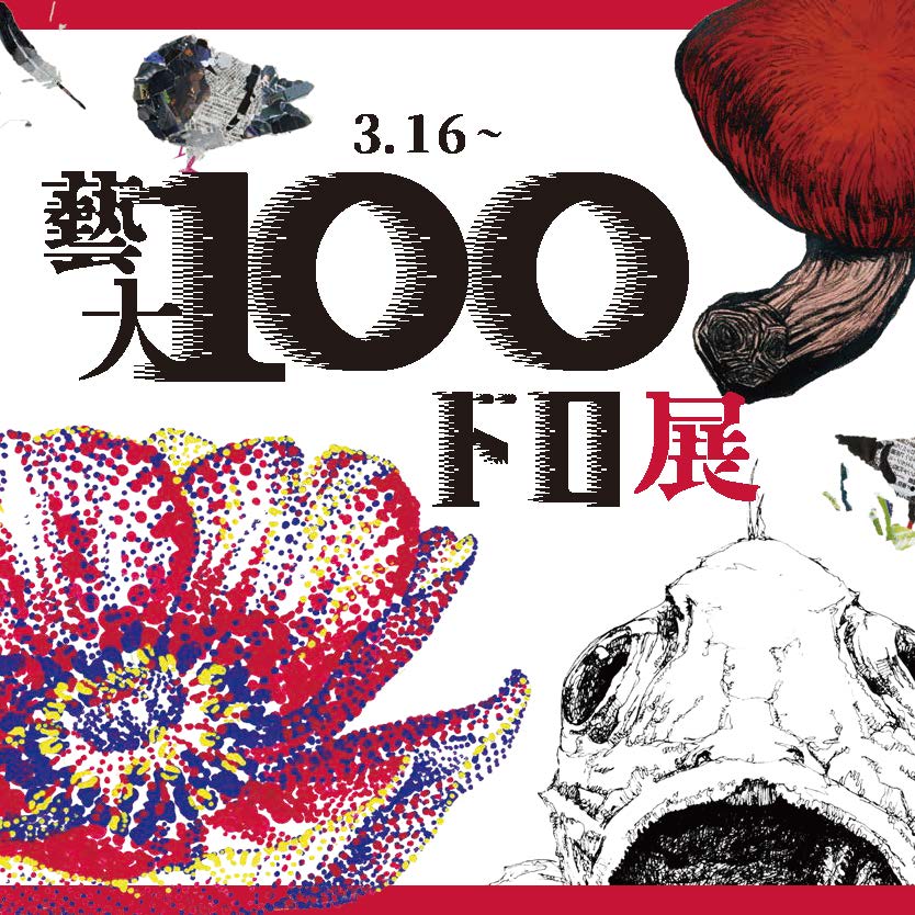 剥落箇所あり 折れあり 田中青坪 芥子 紙本掛軸 東京芸大教授 院展 Instagram